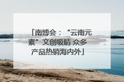 南博会：“云南元素”文创吸睛 众多产品热销海内外