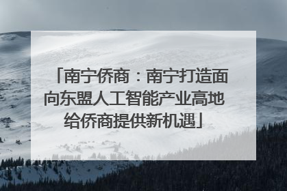 南宁侨商：南宁打造面向东盟人工智能产业高地给侨商提供新机遇