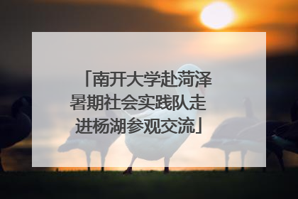 南开大学赴菏泽暑期社会实践队走进杨湖参观交流