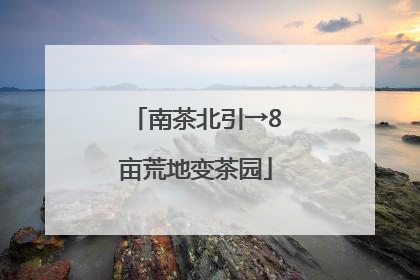 南茶北引→8亩荒地变茶园