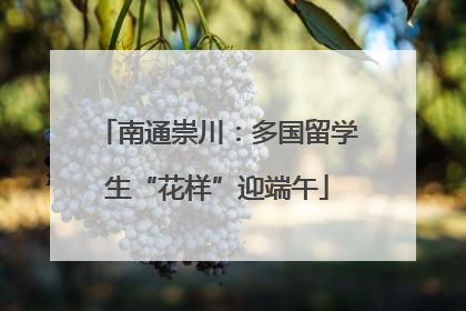 南通崇川：多国留学生“花样”迎端午