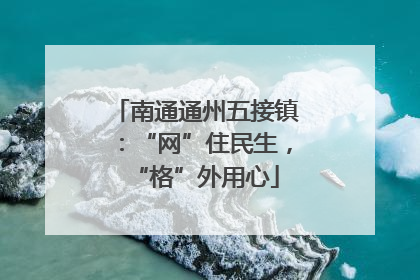 南通通州五接镇：“网”住民生，“格”外用心