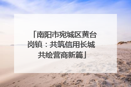 南阳市宛城区黄台岗镇：共筑信用长城 共绘营商新篇