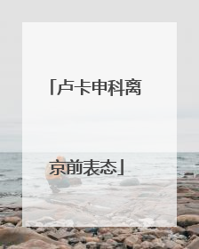 卢卡申科离京前表态