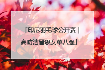 印尼羽毛球公开赛｜高昉洁晋级女单八强