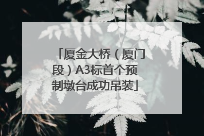 厦金大桥（厦门段）A3标首个预制墩台成功吊装