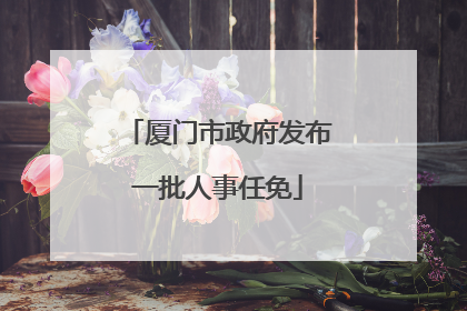 厦门市政府发布一批人事任免
