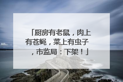 厨房有老鼠，肉上有苍蝇，菜上有虫子，市监局：下架！