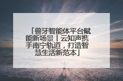 兽牙智能体平台赋能新场景丨云知声携手南宁轨道，打造智慧生活新范本