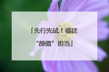 先行先试！福建“颜值”担当