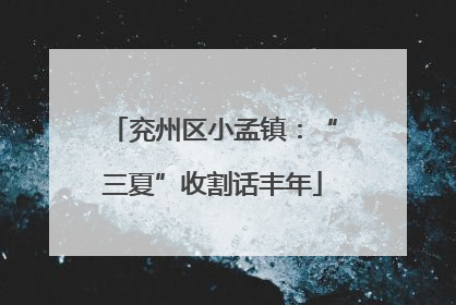 兖州区小孟镇：“三夏”收割话丰年