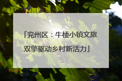 兖州区：牛楼小镇文旅双擎驱动乡村新活力