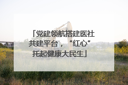 党建领航搭建医社共建平台，“红心”托起健康大民生