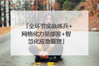全环节实战练兵+网格化力量部署+智慧化应急管理