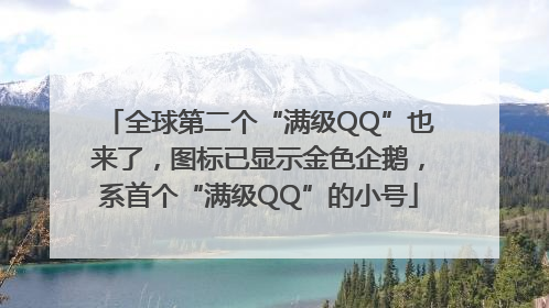全球第二个“满级QQ”也来了，图标已显示金色企鹅，系首个“满级QQ”的小号