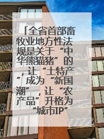 全省首部畜牧业地方性法规是关于“中华熊猫猪”的，让“土特产”成为“新国潮”，让“农产品”升格为“城市IP”