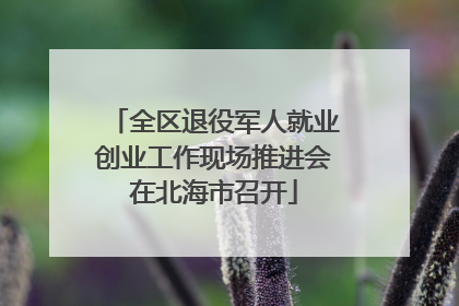 全区退役军人就业创业工作现场推进会在北海市召开