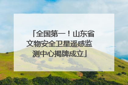 全国第一！山东省文物安全卫星遥感监测中心揭牌成立
