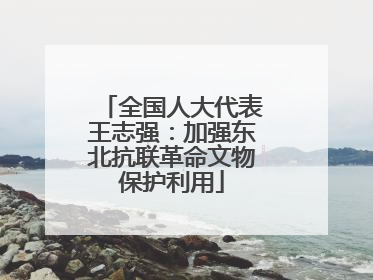 全国人大代表王志强：加强东北抗联革命文物保护利用