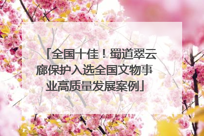 全国十佳！蜀道翠云廊保护入选全国文物事业高质量发展案例