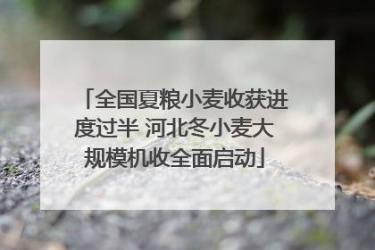 全国夏粮小麦收获进度过半 河北冬小麦大规模机收全面启动