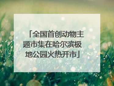全国首创动物主题市集在哈尔滨极地公园火热开市