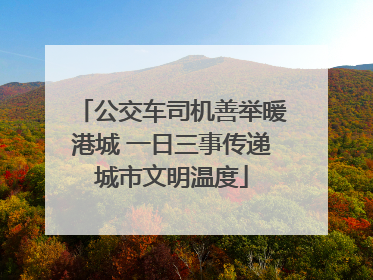 公交车司机善举暖港城 一日三事传递城市文明温度
