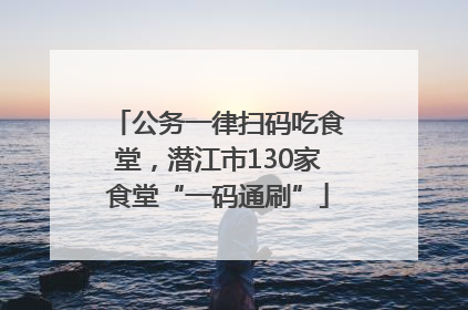 公务一律扫码吃食堂，潜江市130家食堂“一码通刷”