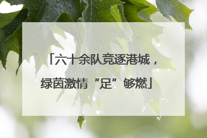 六十余队竞逐港城，绿茵激情“足”够燃
