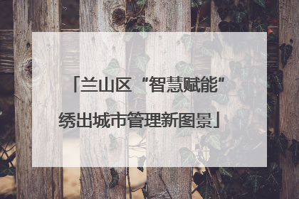 兰山区“智慧赋能”绣出城市管理新图景