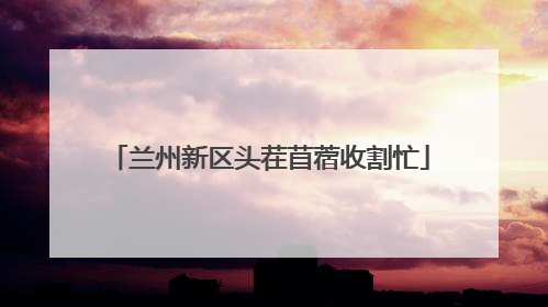 兰州新区头茬苜蓿收割忙