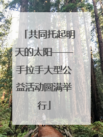 共同托起明天的太阳——手拉手大型公益活动圆满举行