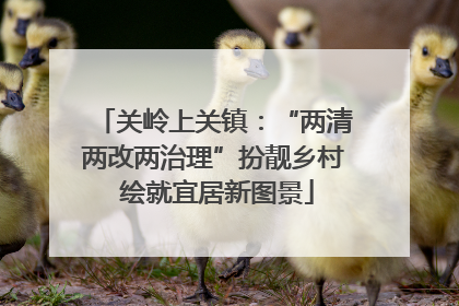 关岭上关镇：“两清两改两治理”扮靓乡村 绘就宜居新图景