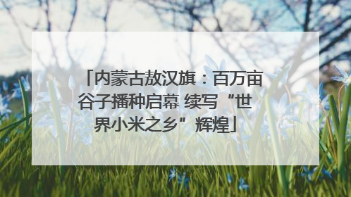 内蒙古敖汉旗：百万亩谷子播种启幕 续写“世界小米之乡”辉煌