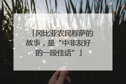 冈比亚农民穆萨的故事，是“中非友好的一段佳话”