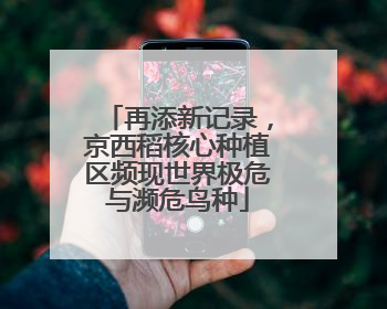 再添新记录，京西稻核心种植区频现世界极危与濒危鸟种