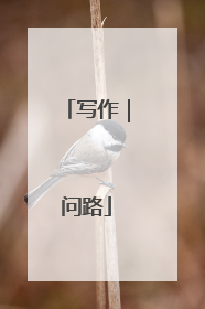 写作｜问路