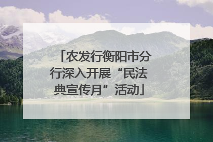农发行衡阳市分行深入开展“民法典宣传月”活动
