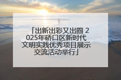 出新出彩又出圈 2025年硚口区新时代文明实践优秀项目展示交流活动举行