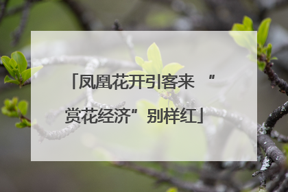 凤凰花开引客来 “赏花经济”别样红