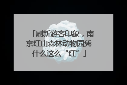 刷新游客印象，南京红山森林动物园凭什么这么“红”