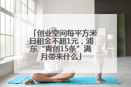 创业空间每平方米日租金不超1元，浦东“青创15条”满月带来什么
