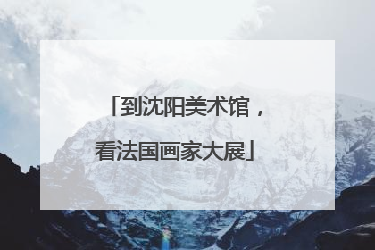 到沈阳美术馆，看法国画家大展
