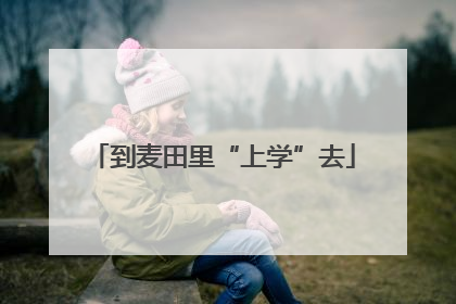 到麦田里“上学”去