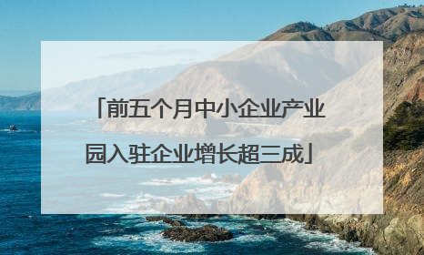 前五个月中小企业产业园入驻企业增长超三成