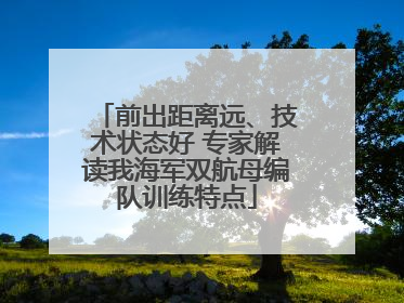 前出距离远、技术状态好 专家解读我海军双航母编队训练特点