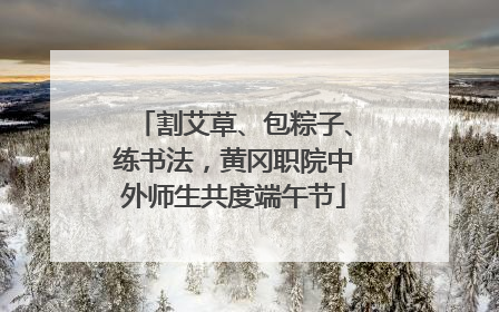 割艾草、包粽子、练书法，黄冈职院中外师生共度端午节