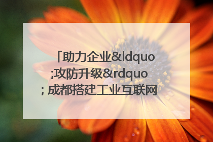 助力企业“攻防升级” 成都搭建工业互联网安全供需对接平台