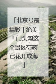 北京号最精彩｜绝美！门头沟这个景区芍药已花开成海