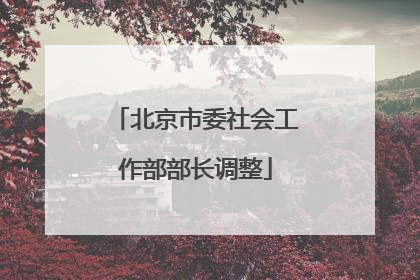 北京市委社会工作部部长调整